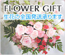 FLOWER GIFT Ԃ̑S܂